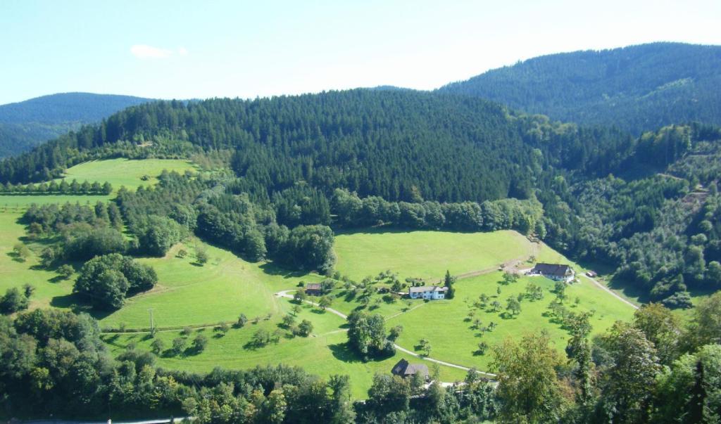 Hotel Schauinsland Bad Peterstal-Griesbach Habitación foto